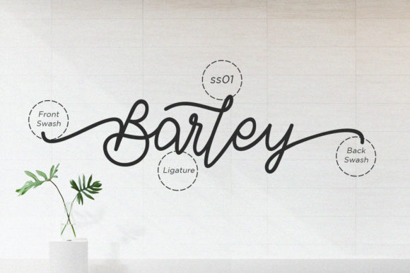 Barley Font Poster 7