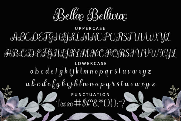 Bella Bellivia Font Poster 5