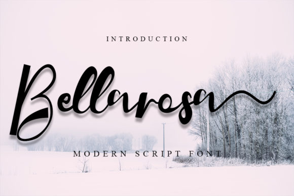 Bellarosa Font