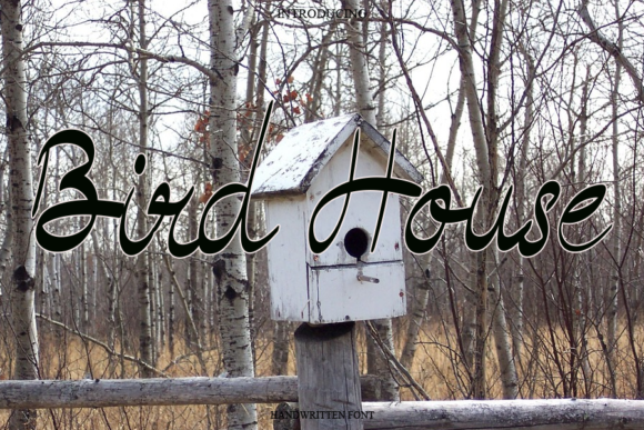 Bird House Font