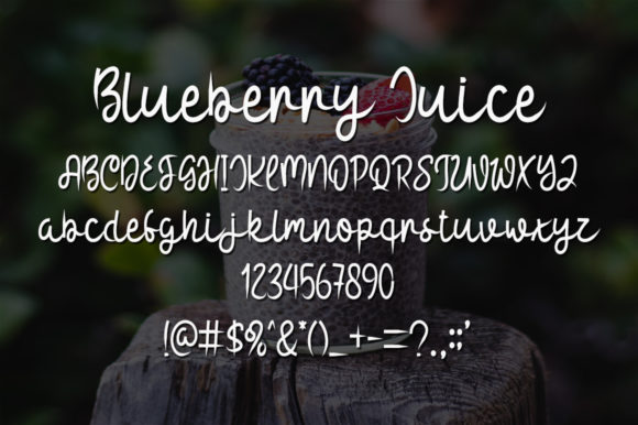 Blueberry Juice Font Poster 5