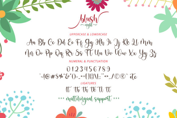 Blush Night Font Poster 8