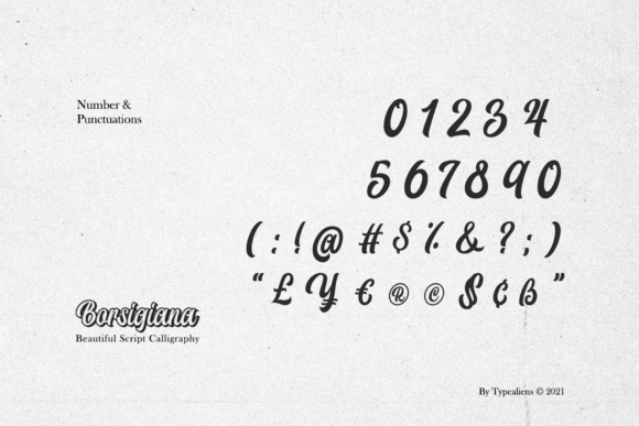 Borsigiana Font Poster 8