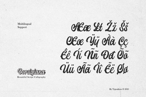 Borsigiana Font Poster 9