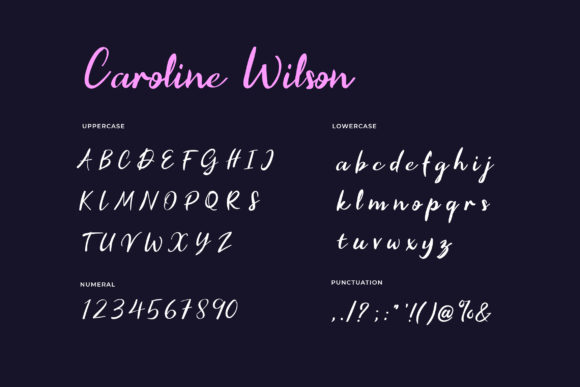 Caroline Wilson Font Poster 2
