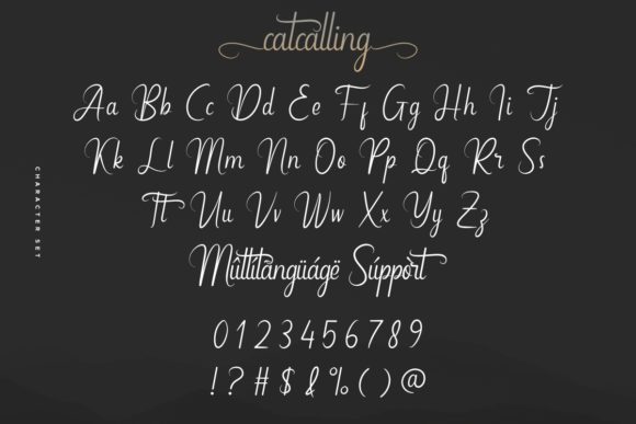 Catcalling Font Poster 5