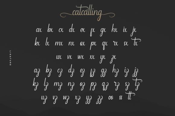 Catcalling Font Poster 7