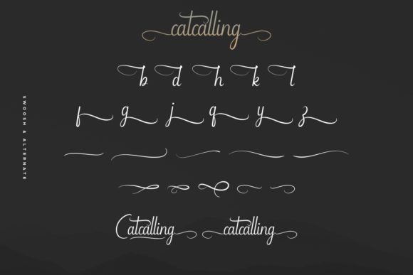 Catcalling Font Poster 9