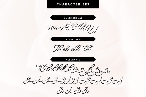 Charmely Font Poster 6