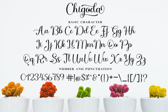 Chigoda Font Poster 8