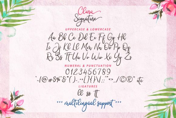 Clara Signature Font Poster 8