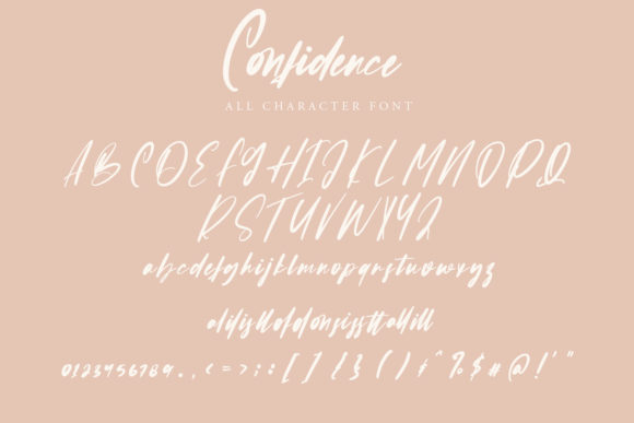 Confidence Font Poster 8