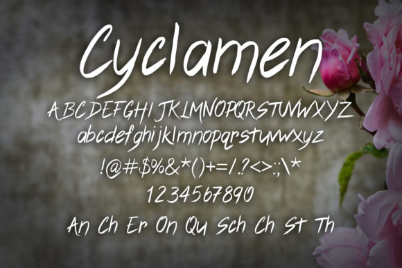 Cyclamen Font Poster 2