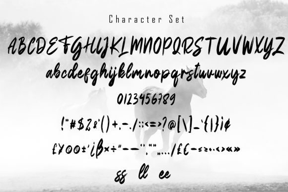 Desheer Font Poster 5