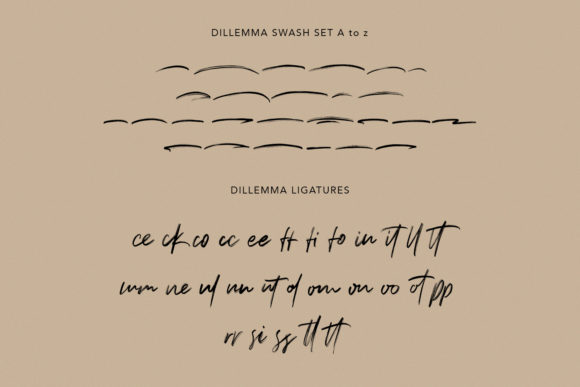 Dillemma Font Poster 11