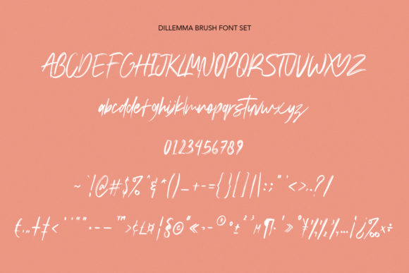 Dillemma Font Poster 9