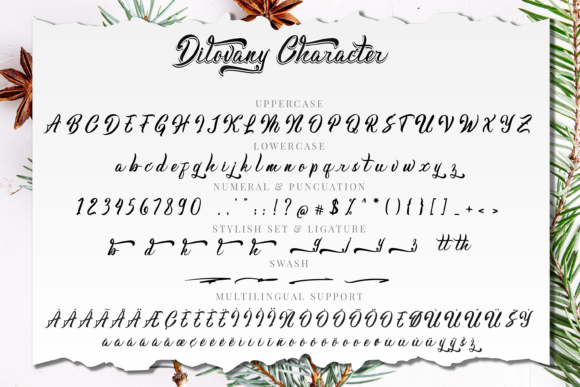 Dilovany Font Poster 9