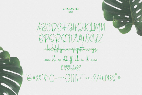 Ecaliptycus Script Font Poster 8