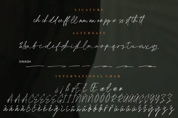 Edward Signature Font Poster 9