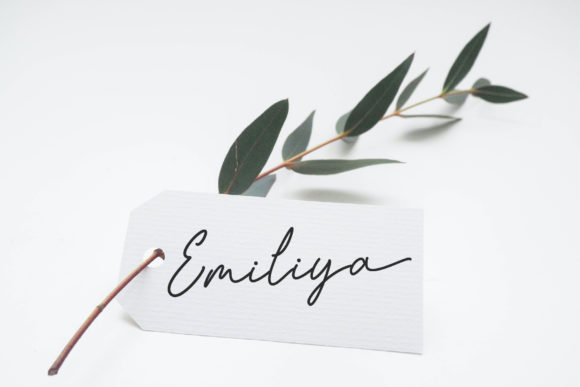 Emiliya Font Poster 4