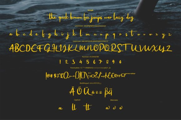 Falide Font Poster 6