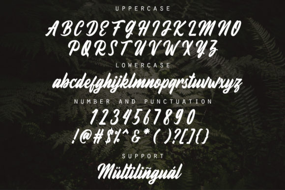 Fineberg Font Poster 2