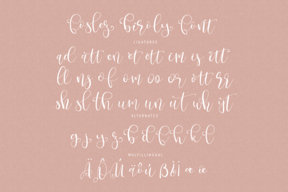 Foslez Biroly Font Poster 9