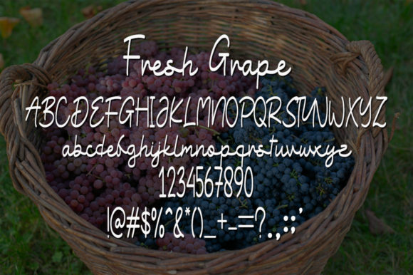 Fresh Grape Font Poster 4