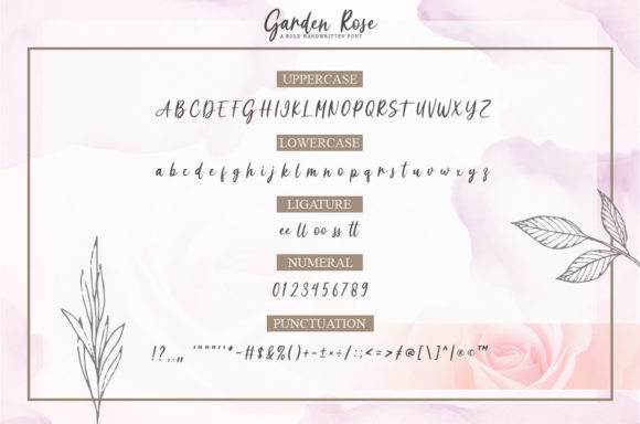 Garden Rose Font Poster 10