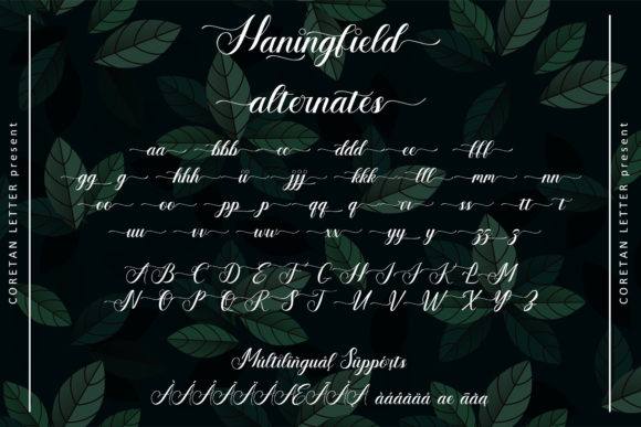 Haningfield Font Poster 11