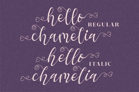Hello Chamelia Font Poster 4