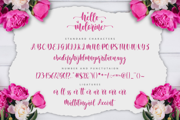 Hello Molarine Font Font Poster 2