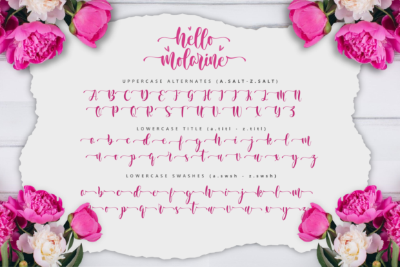 Hello Molarine Font Font Poster 3