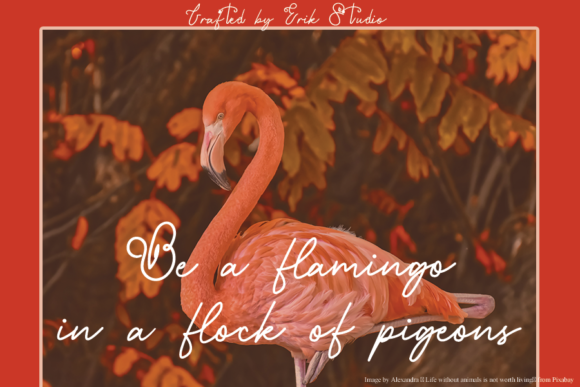 Hey Flamingo Font Poster 2