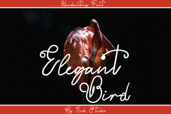 Hey Flamingo Font Poster 3