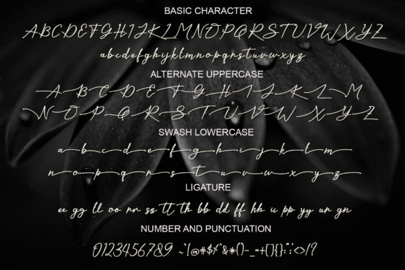 Kaliurang Signature Font Poster 6