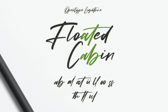 Kreatives Script Font Poster 9