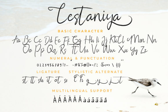 Lestanya Font Poster 7