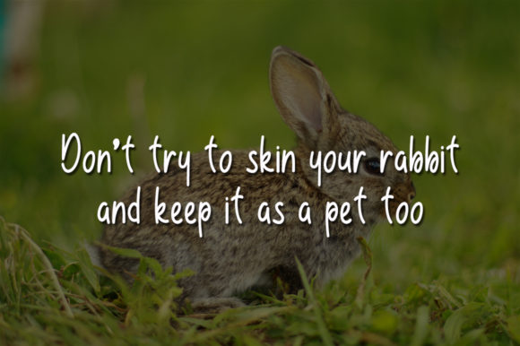 Little Rabbit Font Poster 2