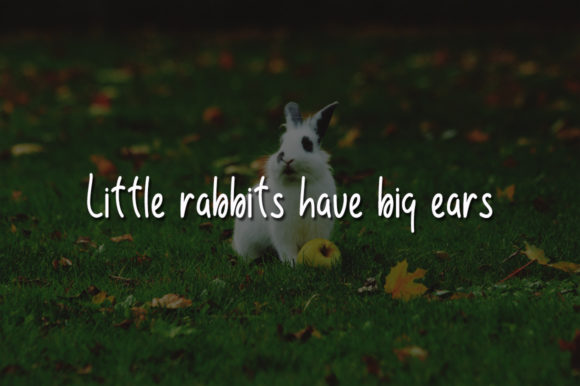 Little Rabbit Font Poster 4