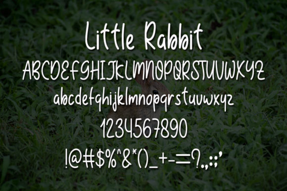 Little Rabbit Font Poster 5
