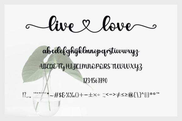 Livelove Font Poster 4