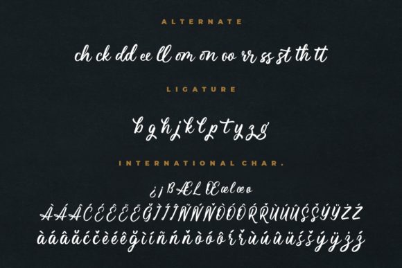 Magnifyco Font Poster 9