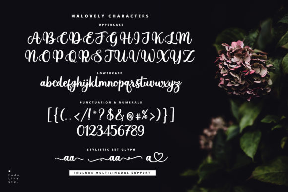 Malovely Font Poster 9