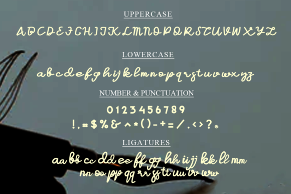 Maumere Font Poster 6