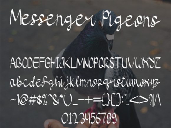 Messenger Pigeons Font Poster 5