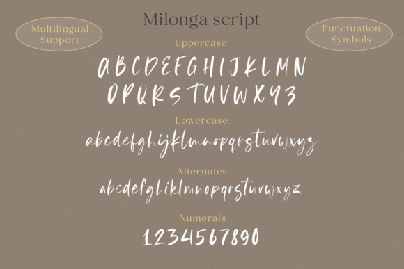Milonga Font Poster 9