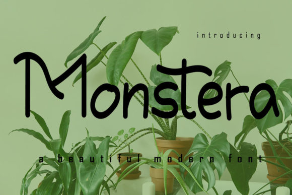 Monstera Font