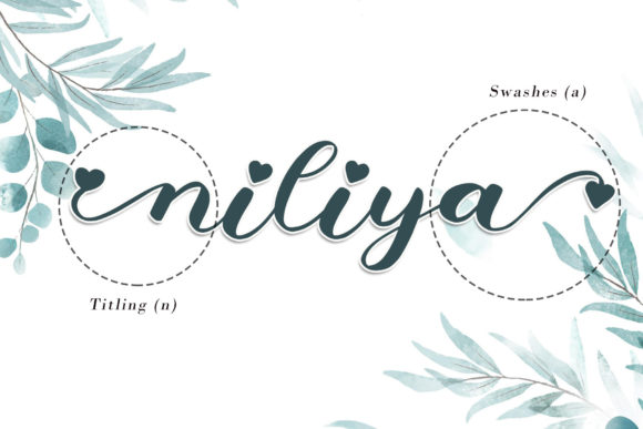 Niliya Font Poster 8