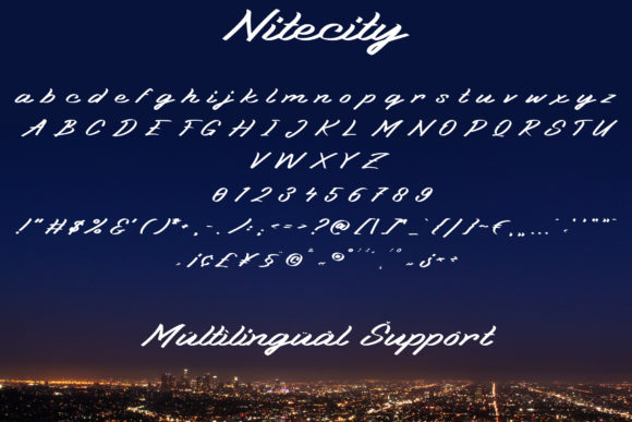 Nitecity Font Poster 8